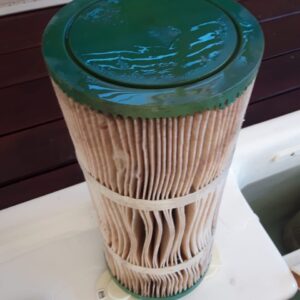 Jacuzzi, Spa, Hot Tub Filter-Screw in